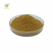Chinese Factory Supply Cistanche Deserticola Extract